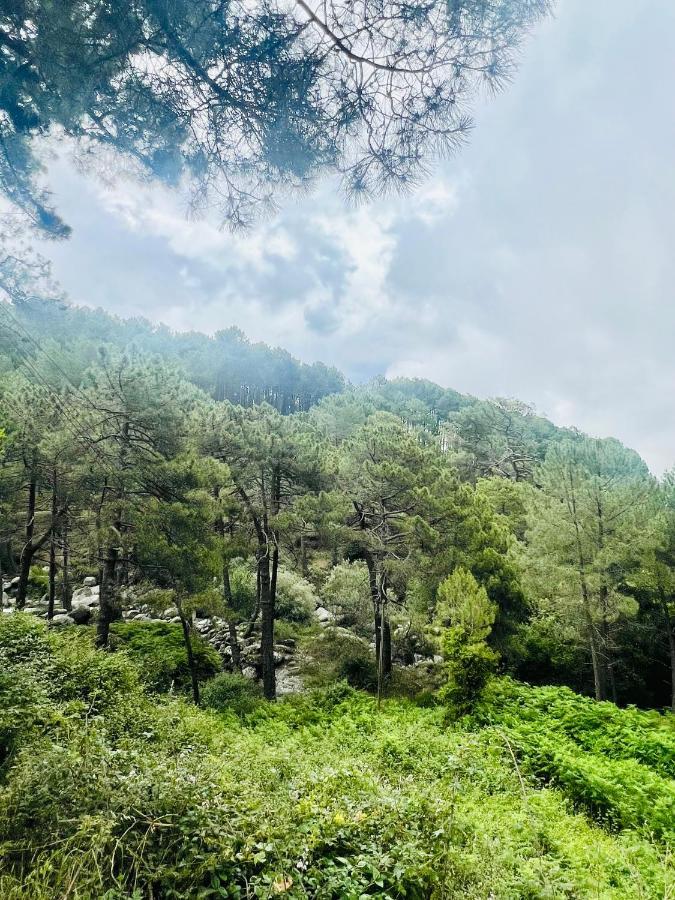 El Latido Del Tietar Villa Lanzahita Exteriör bild